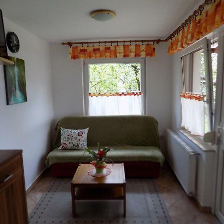 טולמין Apartma Rutar מראה חיצוני תמונה